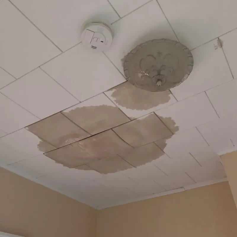 Ceiling Water Damage Repair in Smithfield, VA