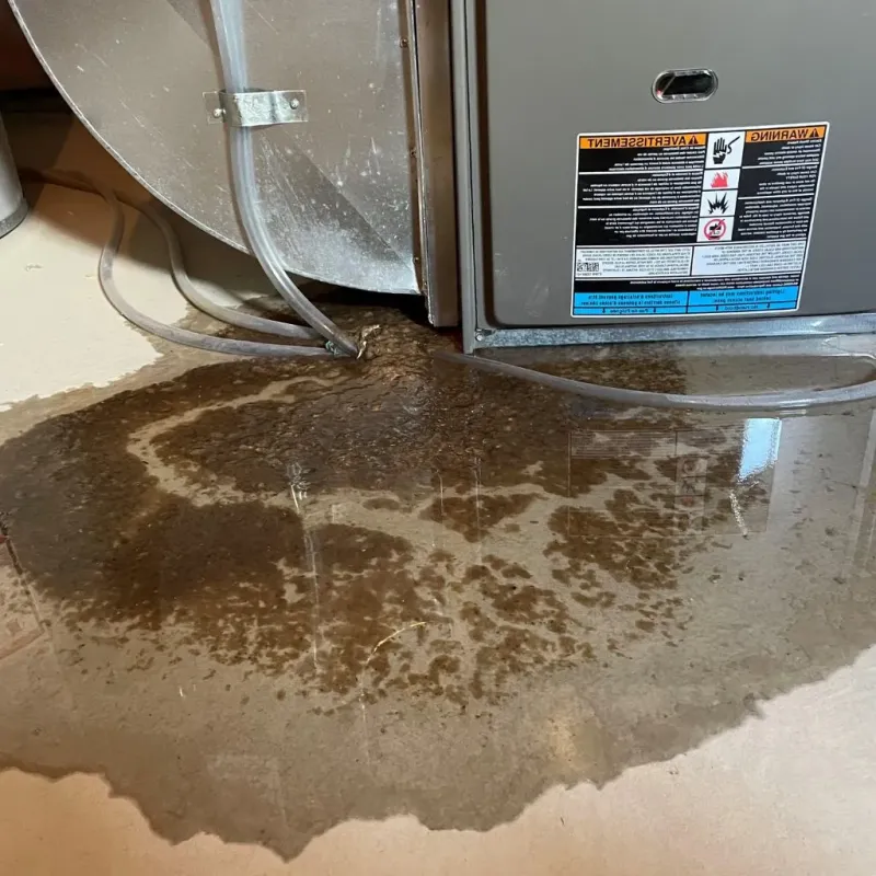 Pipe Burst and Leak Restoration in Smithfield, VA