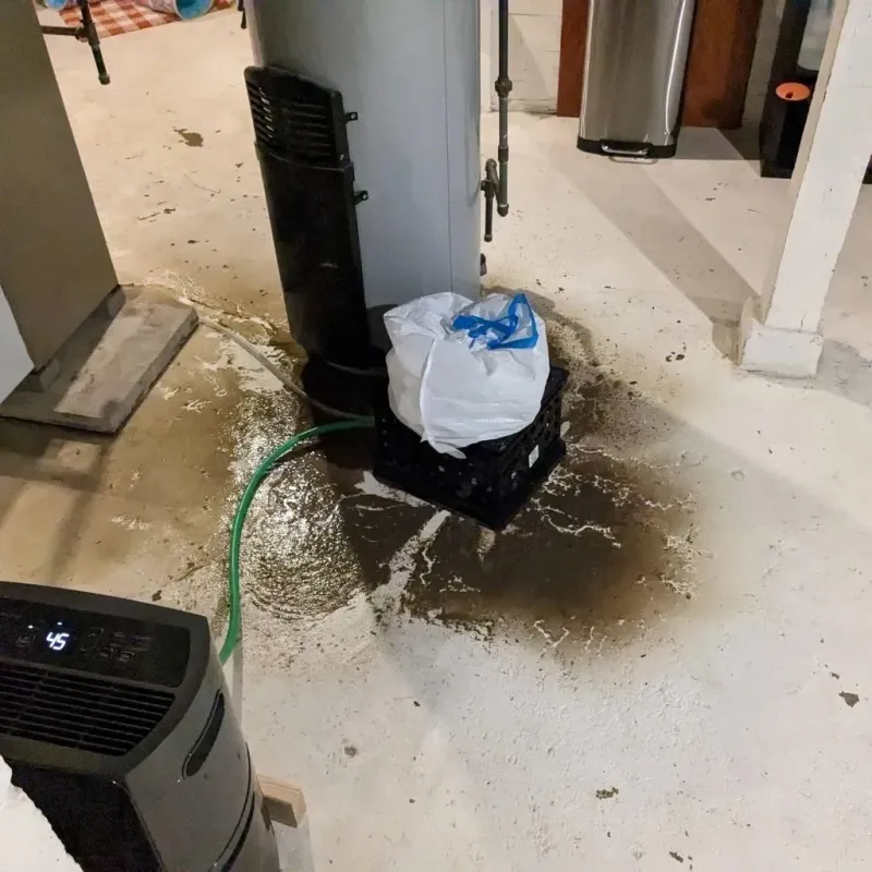 Sewage Backup Cleanup Service in Smithfield, VA